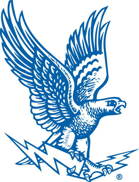 Air Force Falcons 1963-1994 Primary Logo iron on transfers for T-shirts
